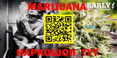 индика Гай