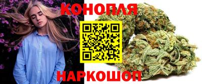 индика Гай