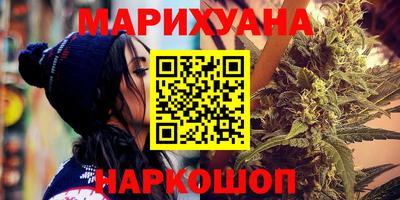индика Гай