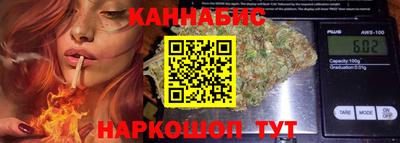 индика Гай