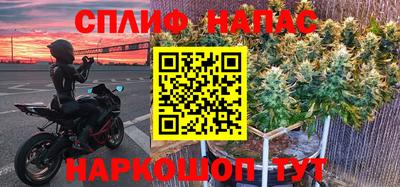 индика Гай