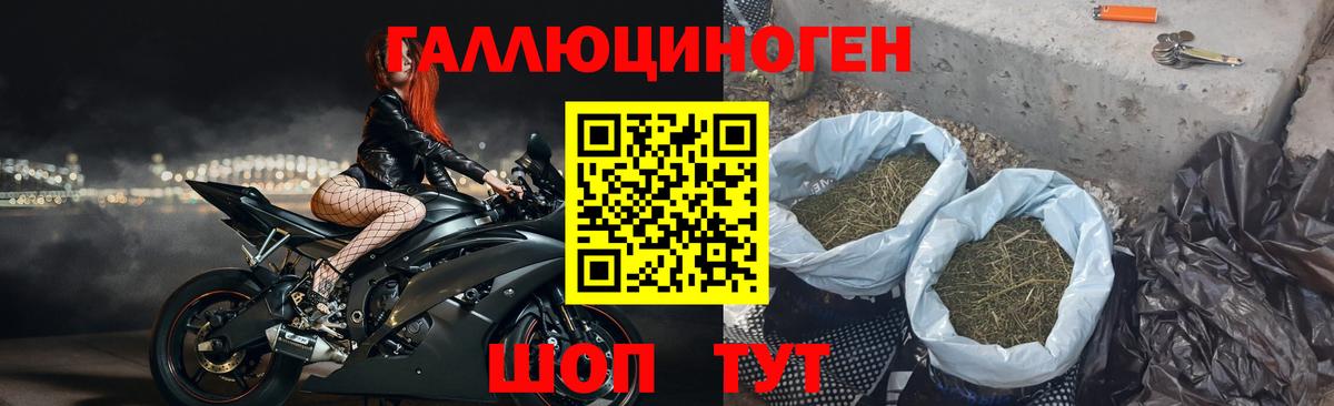 Новоалтайск  Псилоцибиновые грибы MAGIC MUSHROOMS  Вход с VPN  Галлюциногенные грибы GOLDEN TEACHER 